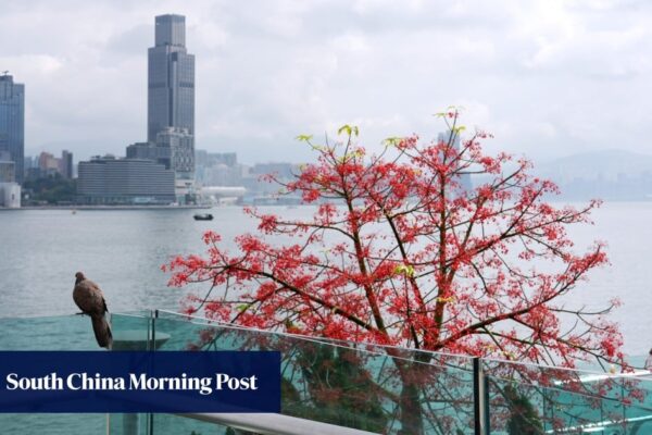 Letters | Hong Kong’s best chapters are still unwritten