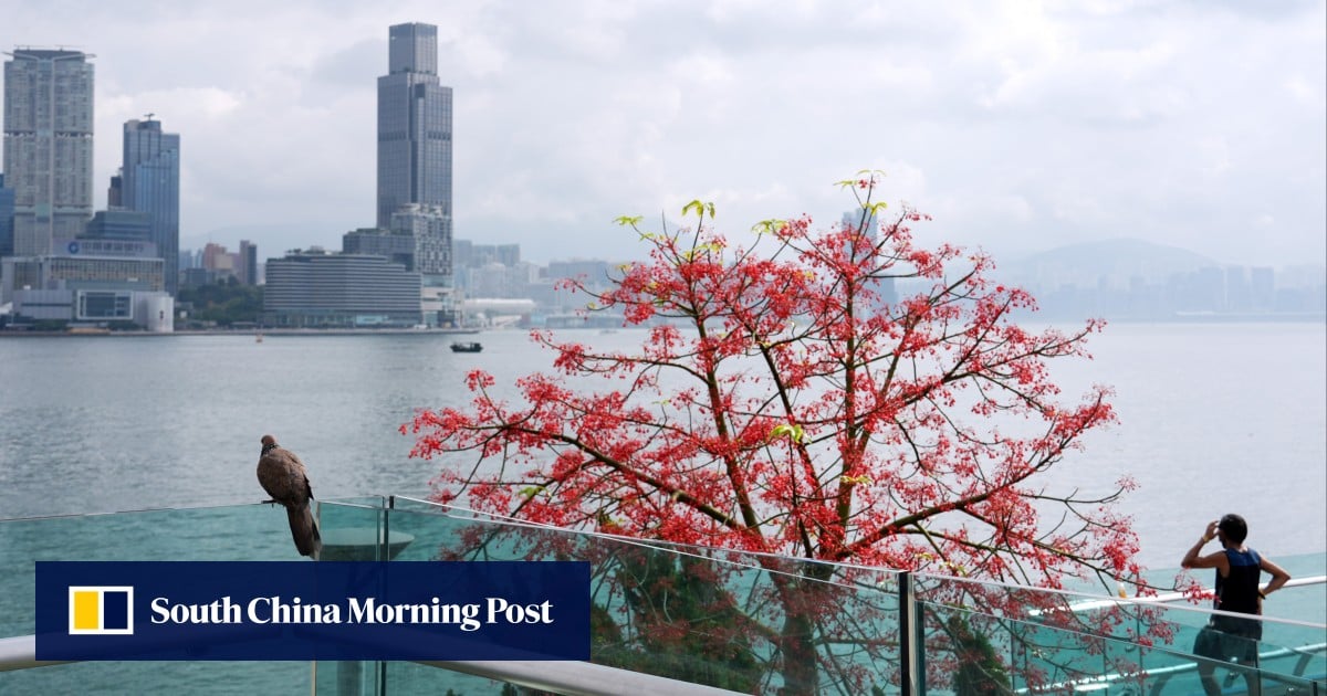 Letters | Hong Kong’s best chapters are still unwritten