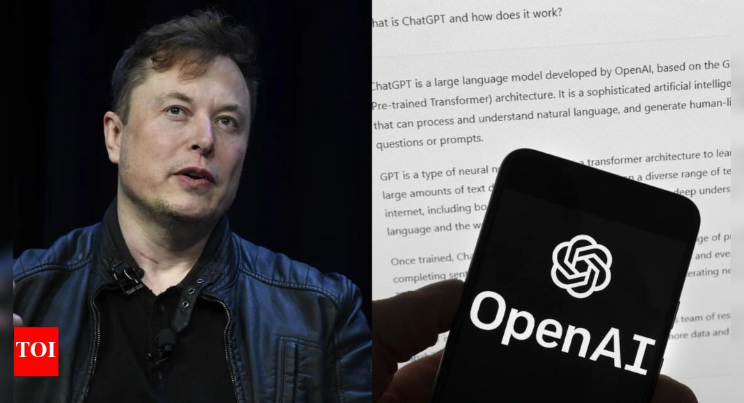 Elon Musk reacts to OpenAI’s ‘fake stock’ warning for investors: 'Your equity is…'