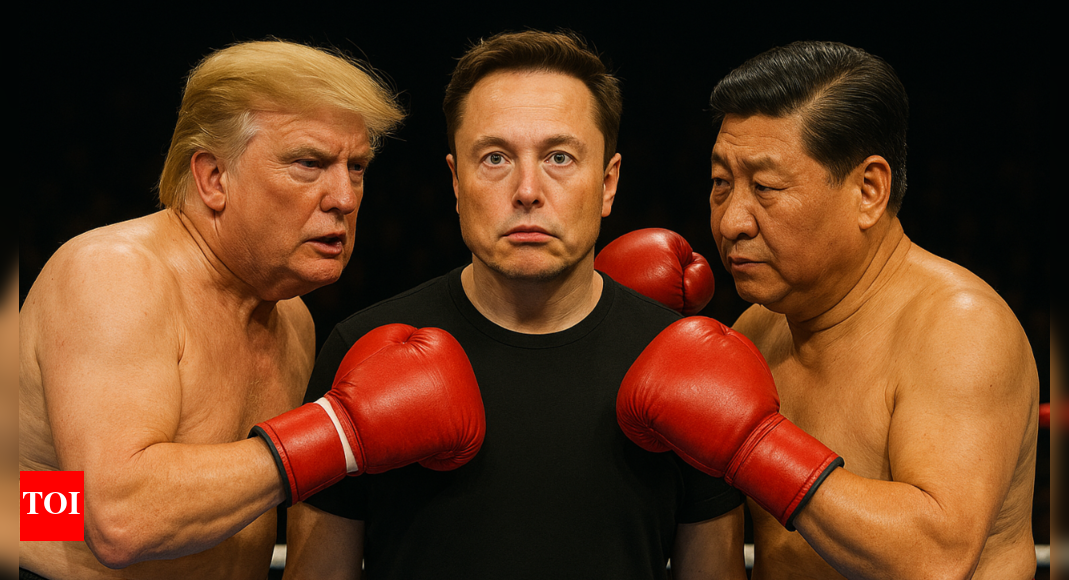 Who will matter more for Elon Musk and Tesla: Donald Trump or Xi Jinping?