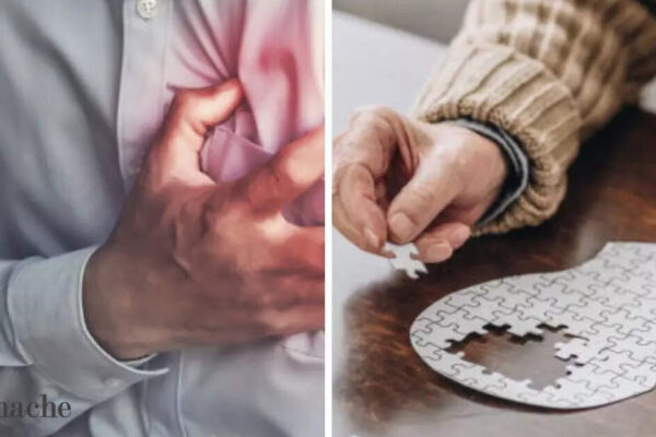 Harvard study says your brain’s fate may lie in your heart’s health: 4 lifestyle changes to slow down brain and heart ageing Harvard study says your brain's fate may lie in your heart's health: 4 lifestyle changes to slow down brain and heart ageing