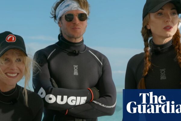 TV tonight: terrified celebrities swim with sharks in a bizarre reality series | Television