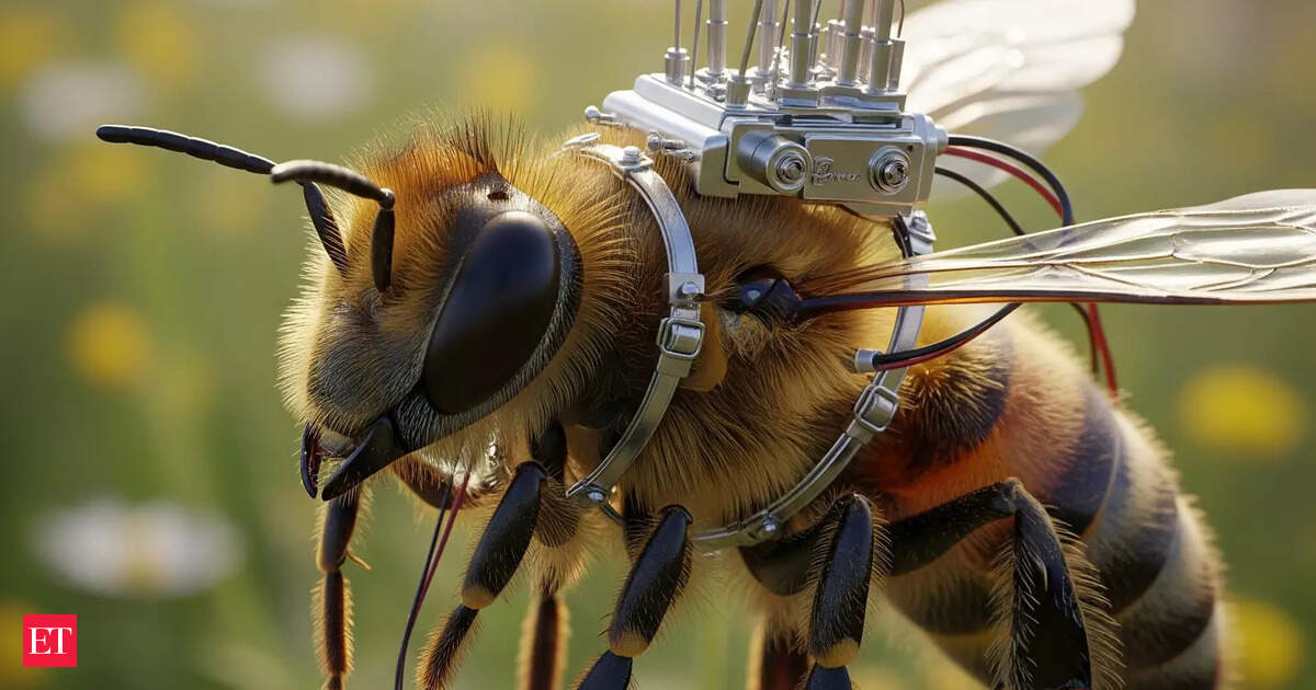 China develops 74 mg ultra-light brain controller that turns bees into tiny soldiers