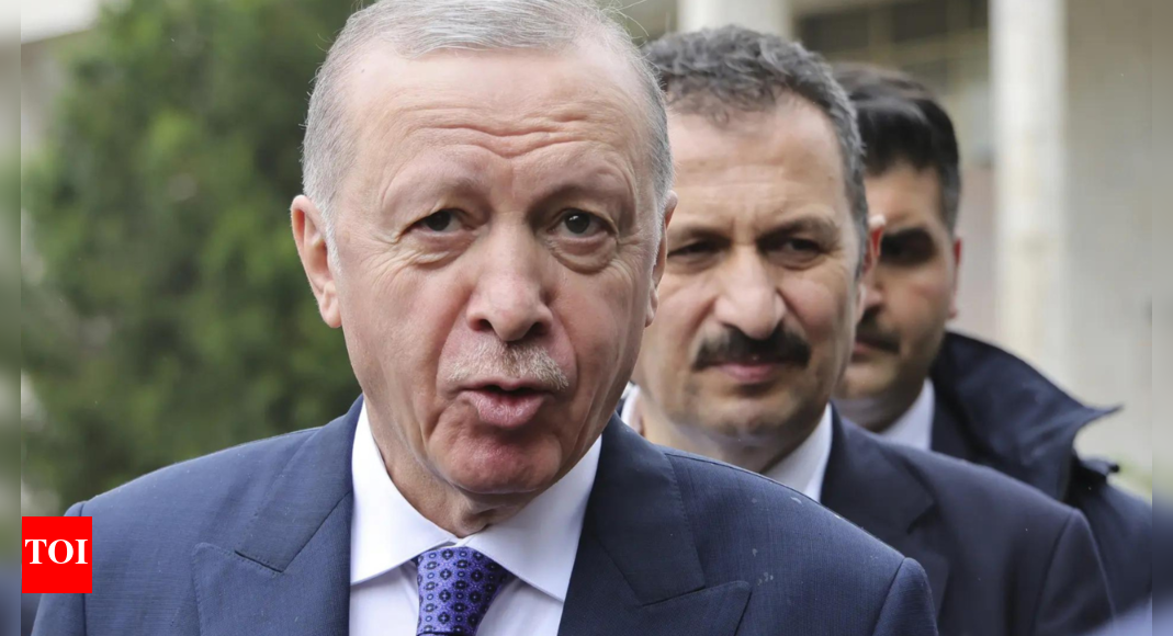 Turkey's Erdogan insists on Cyprus two-state solution | World News