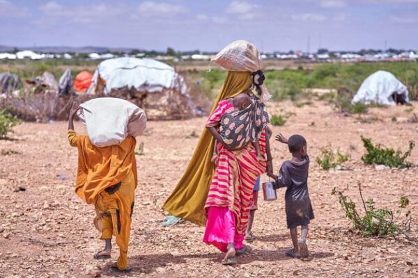 World News in Brief: Violence in Somalia, cholera in Haiti, tax support for sustainable development