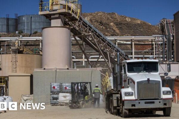 US government to invest in rare earths production