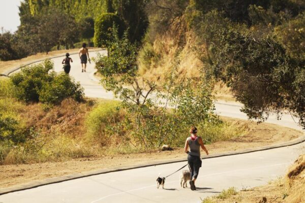 Couple confront a suspect on video after they spot him near a burning tree in Runyon Canyon Yahoo news home