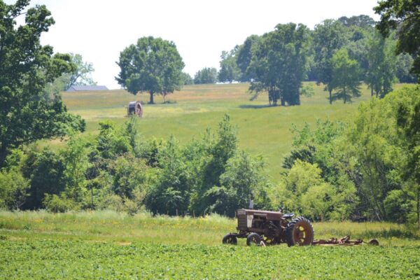 FARMING: “Today, we tell China to get the hell out of American agriculture”