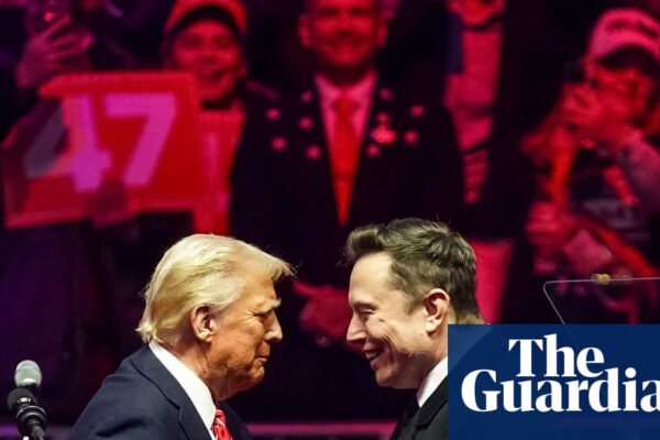 Tesla shares dive as investors fear new Elon Musk political party will damage brand | Tesla