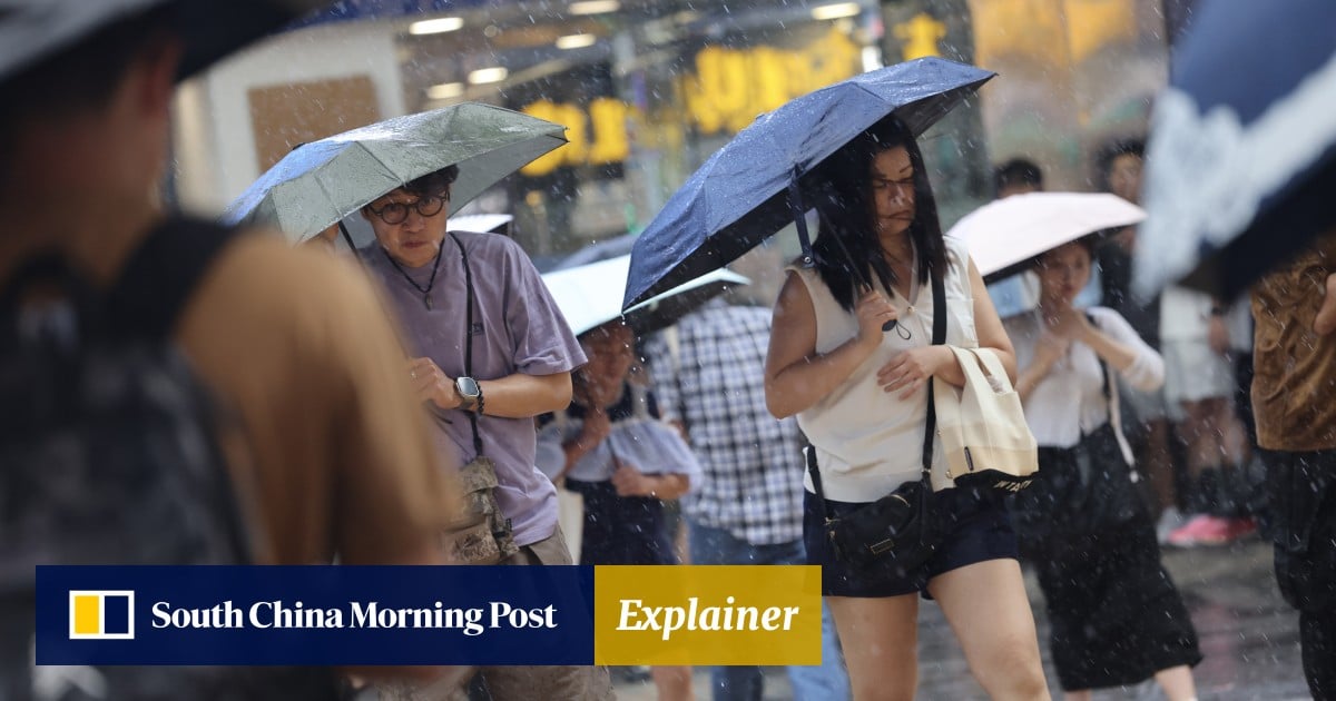 Explainer | Here’s how you can prepare for typhoon as Wipha heads towards Hong Kong
