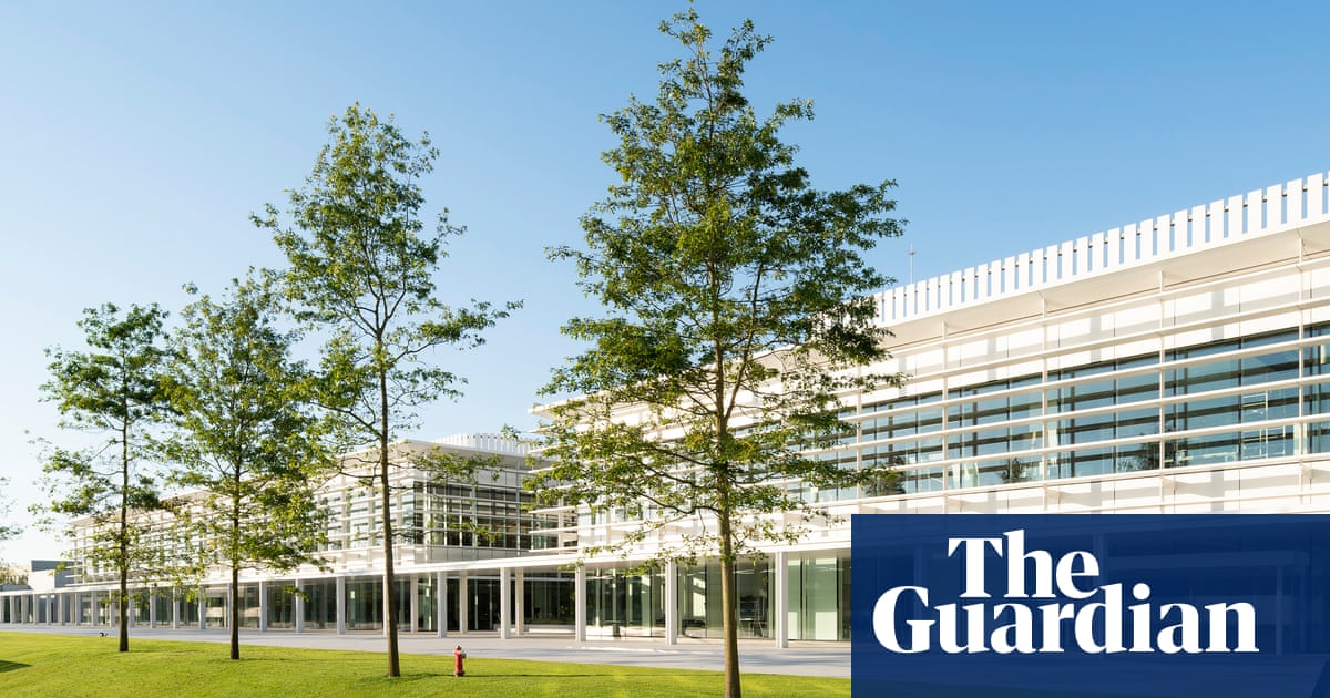 Zara at 50: how the brand rose to the top – and what it’s doing to stay there | Zara