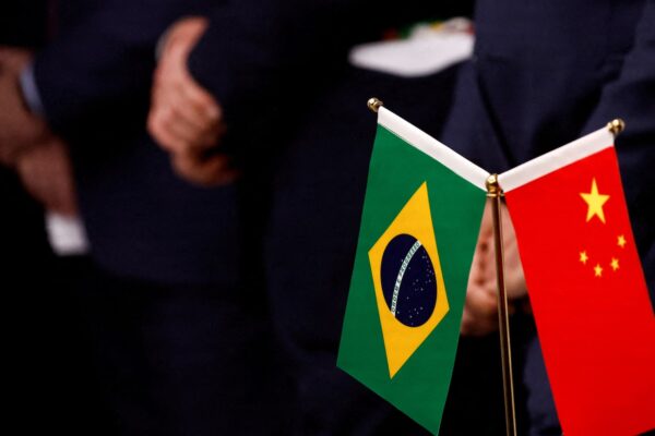 Exclusive: China signals investment in Brazil-led global forest fund, sources say