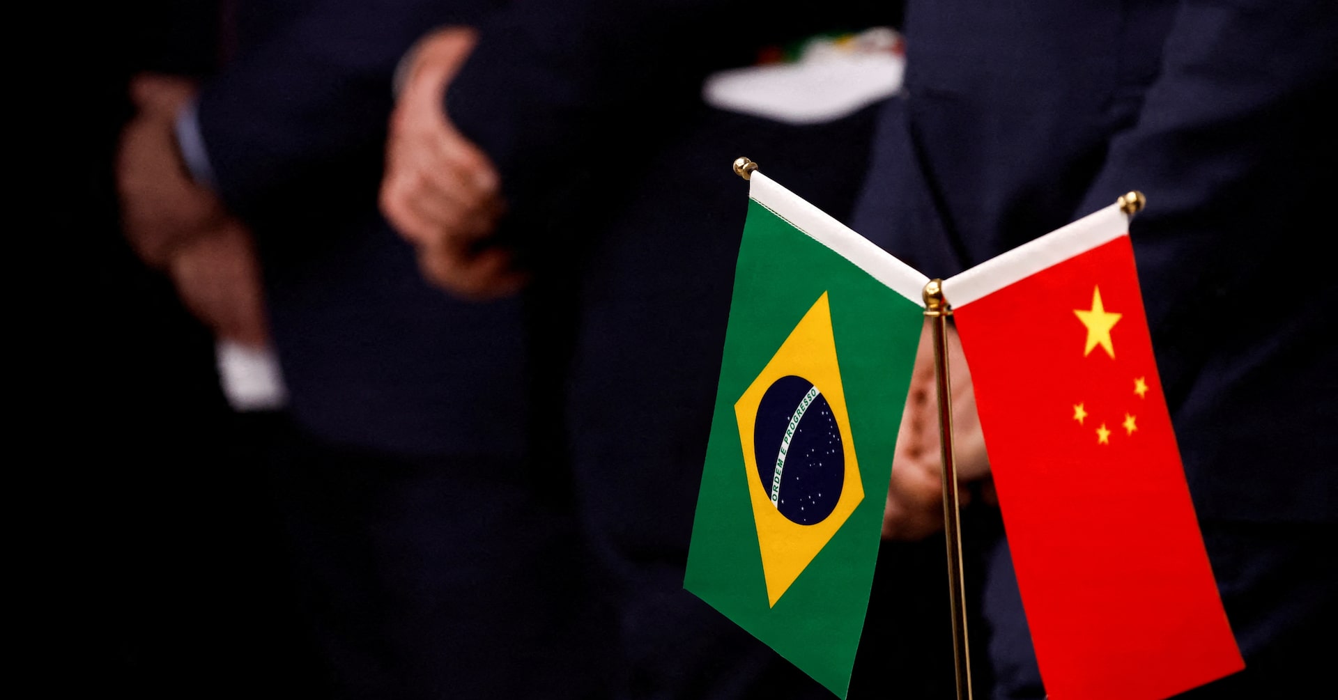 Exclusive: China signals investment in Brazil-led global forest fund, sources say