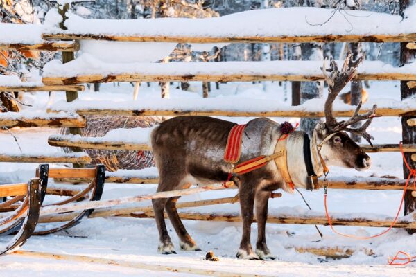 24 of the best Christmas holiday destinations