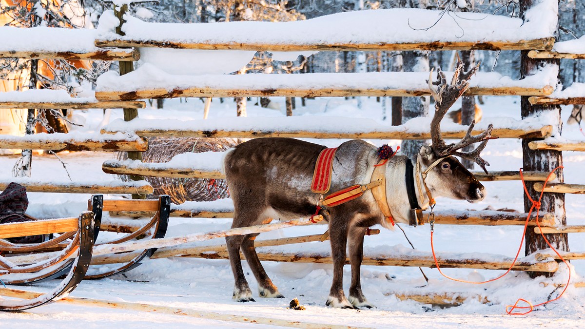 24 of the best Christmas holiday destinations