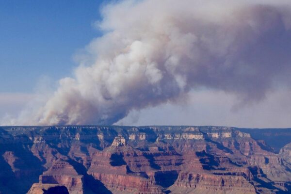 Grand Canyon wildfire grows 20 times over 24 hours as Canadian wildfires smoke blanket U.S. Midwest Grand Canyon wildfire grows 20 times over 24 hours as Canadian wildfires smoke blanket U.S. Midwest