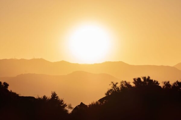 Burst of blistering heat could see 115 degree temperatures - World News - News