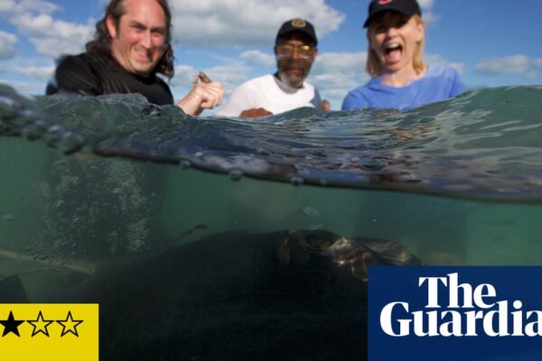 Shark! Celebrity Infested Waters review – a lovely watch … despite the stars’ total fear and panic | Television & radio