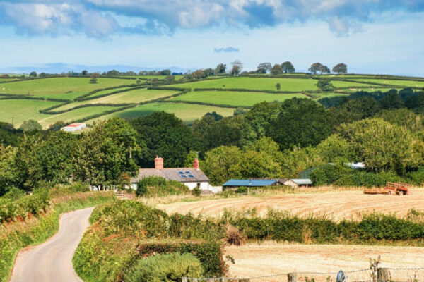 Devon Farm