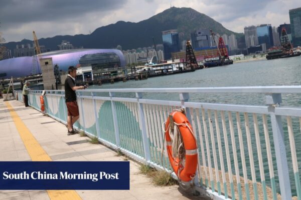 Hong Kong police arrest man on suspicion of pushing boy, 9, into sea Hong Kong police arrest man on suspicion of pushing boy, 9, into sea