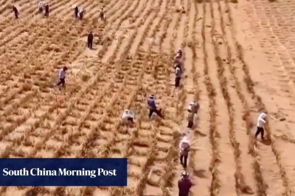 China’s ‘green great wall’ in Inner Mongolia traps 3 more deserts
