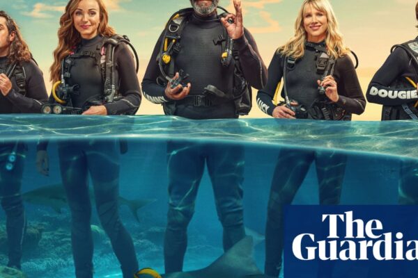 Shark! Celebrity Infested Waters: I’m absolutely hooked by this cheeky, danger-packed reality show | Television