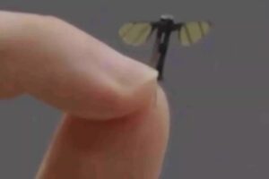 Military Experts Weigh in on China's New Mosquito-Like Spy Drone
