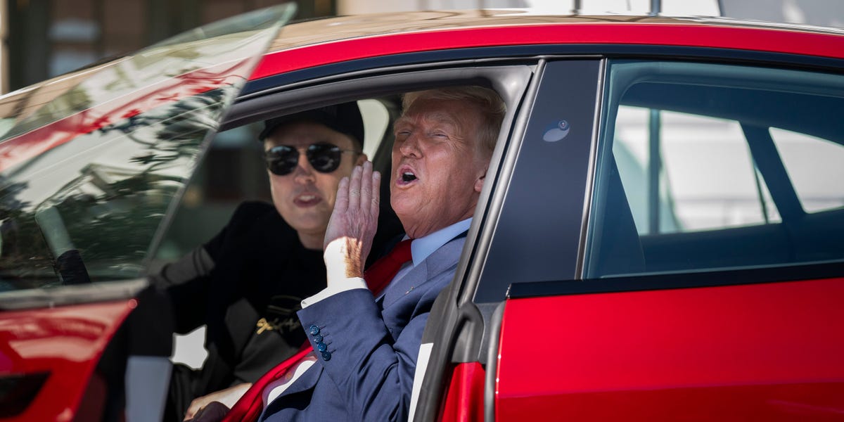 Tesla Stock: Musk-Trump Fight a 'Nail in the Coffin' for the EV Maker
