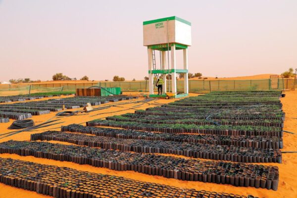 China earns praise for Africa's green transition - World