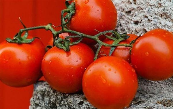 U.S. imposes 17% duty on fresh Mexican tomatoes | Local News