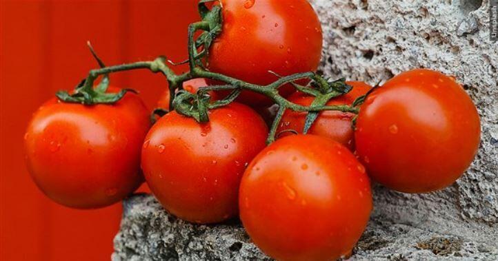 U.S. imposes 17% duty on fresh Mexican tomatoes | Local News