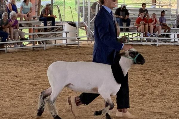 'So grateful to be here': Bedford County Fair begins with rides, rope tricks and agriculture displays | News