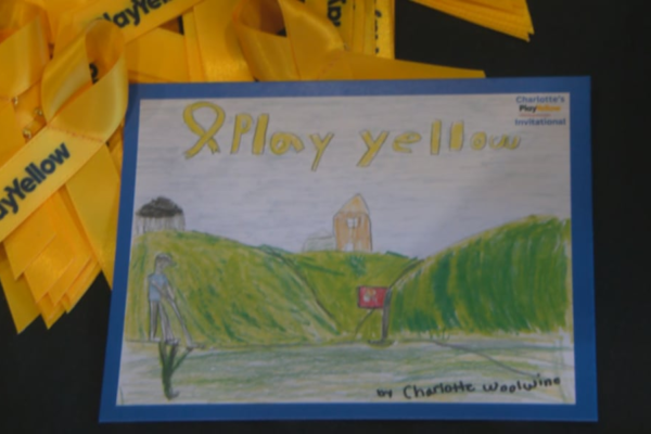Charlotte’s Play Yellow benefit golf outing draws celebrities, donors to Star City