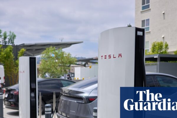 Low expectations for Tesla’s second-quarter earnings attributed to Musk | US news