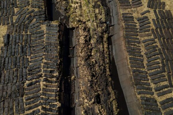 World risks up to $39 trillion in economic losses from vanishing wetlands, report says World risks up to $39 trillion in economic losses from vanishing wetlands, report says