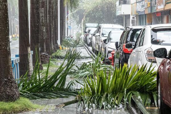 Live: Latest as Typhoon Wipha hits S China