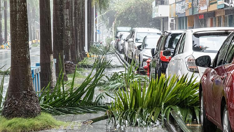 Live: Latest as Typhoon Wipha hits S China