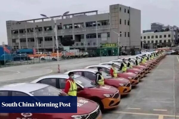 Hongkongers use driving schools over border to get cheap licences illegally Hongkongers use driving schools over border to get cheap licences illegally