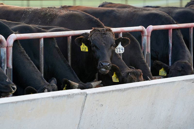 Australia lifts biosecurity curbs on US beef amid tariff talks