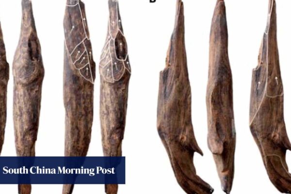 Tools unearthed in China are first evidence of East Asia’s ‘Wood Age’