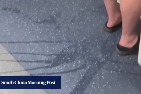 Hong Kong’s MTR urges good behaviour after man appears to urinate inside train