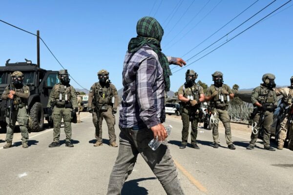 Worker dies following immigration raids on California cannabis farms | Donald Trump News