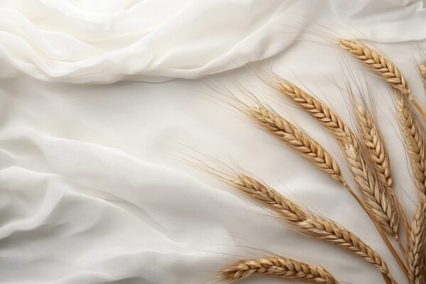 From Food to Fashion: How Agricultural Waste Could Shape the Clothes of the Future