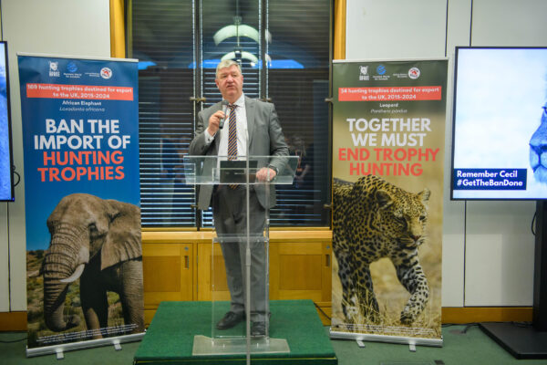 Ban import of hunting trophies, says Carmichael