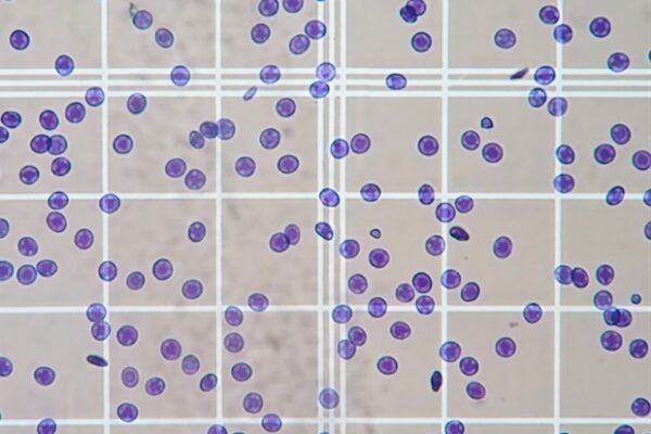 DeNovix releases new CellDrop FLxi applications