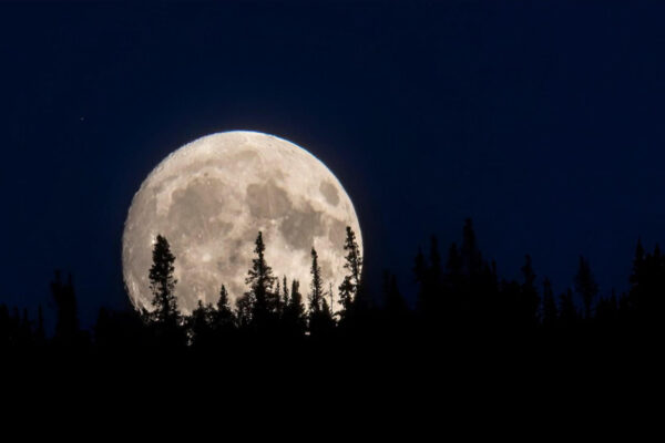 First Full Moon of Summer 2025 shines this week