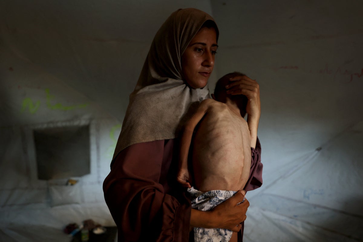 Palestinians in Gaza have become ‘walking corpses’, says UN as hunger crisis deepens