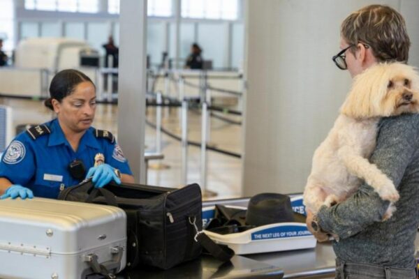 Goodbye to traveling with pets—the TSA imposes stricter new rules, and thousands of travelers could face fines or penalties