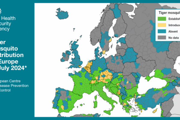 Tiger Mosquitoes Are Invading Europe Not the UK — Vax-Before-Travel