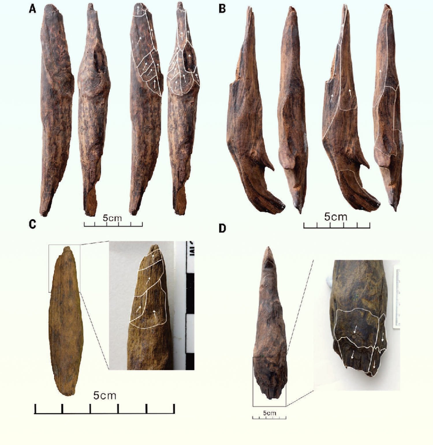 300,000-Year-Old Wooden Tools Discovered in China
